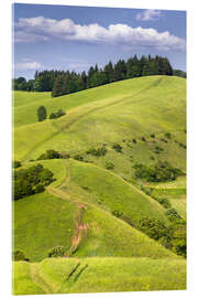 Stampa su vetro acrilico Hill landscape in summer, Kaiserstuhl, Germany