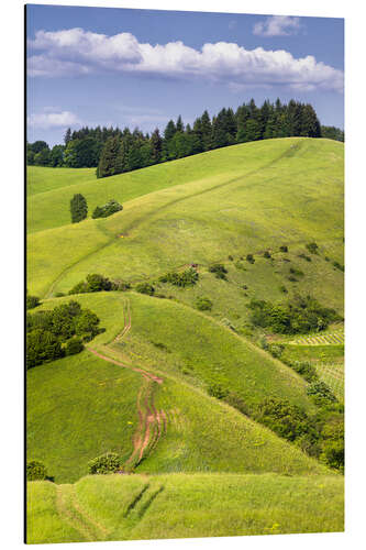 Aluminium print Hill landscape in summer, Kaiserstuhl, Germany