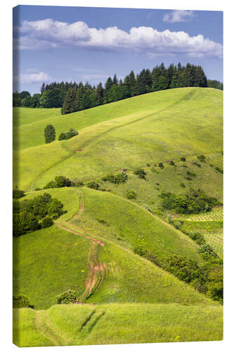 Quadro em tela Hill landscape in summer, Kaiserstuhl, Germany