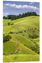 Tableau en PVC Hill landscape in summer, Kaiserstuhl, Germany