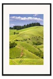Gerahmter Kunstdruck Hügel Landschaft im Sommer, Kaiserstuhl, Deutschland