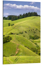 Magnettafel Hügel Landschaft im Sommer, Kaiserstuhl, Deutschland
