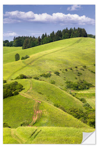 Wandsticker Hügel Landschaft im Sommer, Kaiserstuhl, Deutschland