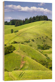 Hout print Hill landscape in summer, Kaiserstuhl, Germany