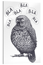 Gallery print Owl - bla bla bla