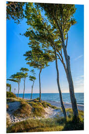 PVC print Baltic Sea Beach with Trees