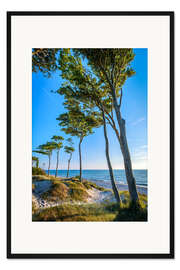 Gerahmter Kunstdruck Ostseeküste, am Darßer Weststrand
