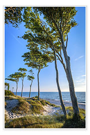 Plakat Baltic Sea Beach with Trees