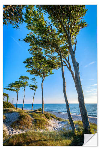 Wandsticker Ostseeküste, am Darßer Weststrand