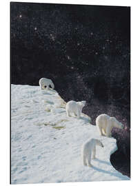 Magnettafel Flat Earth