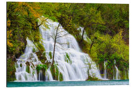 Aluminium print Spring at the waterfalls of Plitvice