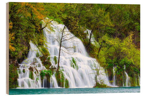 Wood print Spring at the waterfalls of Plitvice