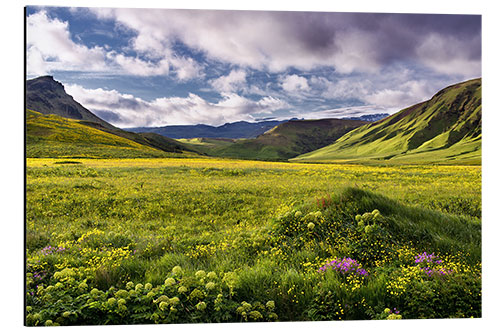 Alubild Grüne Landschaft auf Island