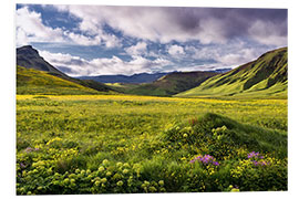 Foam board print Green landscape on Iceland