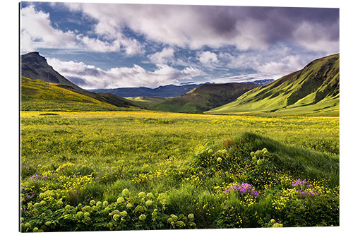 Gallery print Green landscape on Iceland