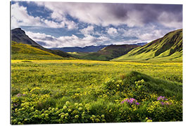 Gallery Print Grüne Landschaft auf Island