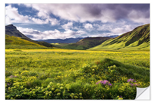 Naklejka na ścianę Green landscape on Iceland