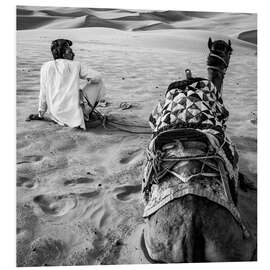 Quadro em PVC Man and his camel in the desert
