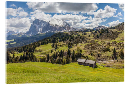 Acrylglasbild Sommer auf der Seiser Alm (Südtirol)