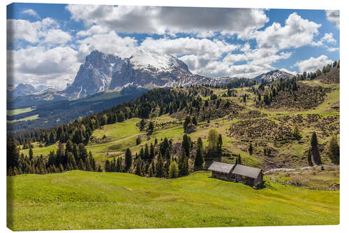 Lienzo Summer on the Alpe di Siusi (South Tyrol, Italy)