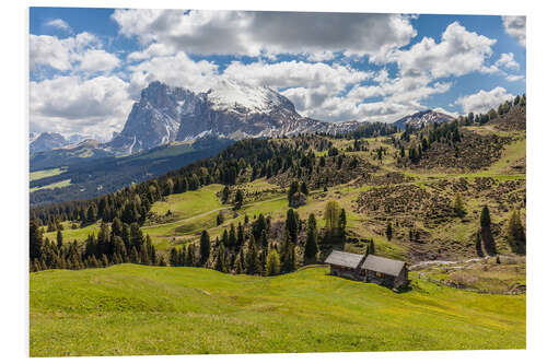 Tableau en PVC Summer on the Alpe di Siusi (South Tyrol, Italy)