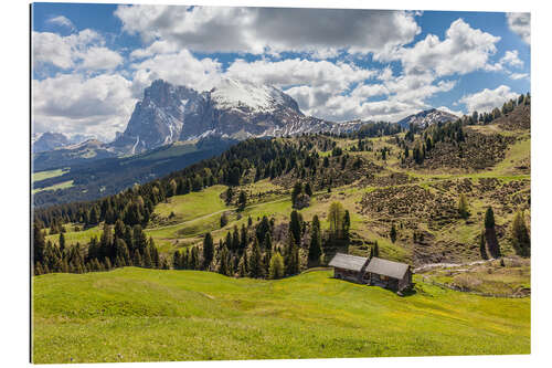 Gallery print Summer on the Alpe di Siusi (South Tyrol, Italy)