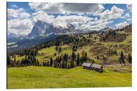 Magnettafel Sommer auf der Seiser Alm (Südtirol)