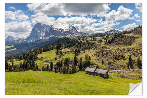 Selvklæbende plakat Summer on the Alpe di Siusi (South Tyrol, Italy)