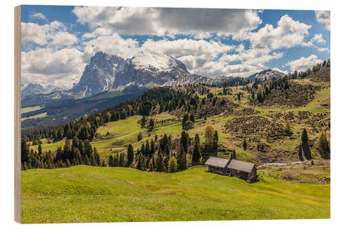 Holzbild Sommer auf der Seiser Alm (Südtirol)