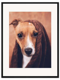 Gerahmter Kunstdruck Jack Russel