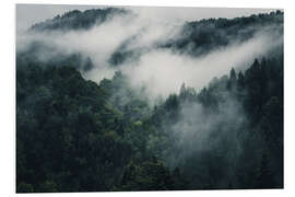 Foam board print Mystic forests in fog