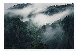 Poster Mystisk skog i dimma