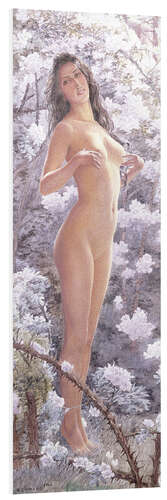 Foam board print Nude Amongst Flowers