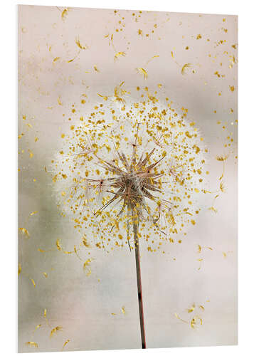 Foam board print Dandelion