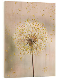 Cuadro de madera  Diente de león - Andrea Haase Foto