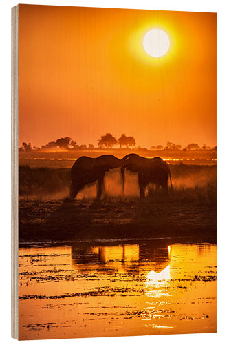 Holzbild Elefanten bei Sonnenuntergang, Chobe Park, Botswana, Afrika