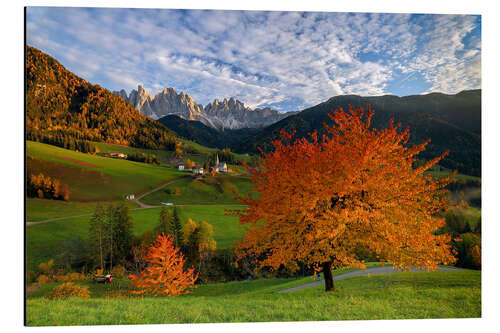 Cuadro de aluminio Funes Valley in autumn, Dolomites, South Tyrol, Italy