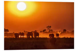 Hartschaumbild Elefanten bei Sonnenuntergang, Chobe Park, Botswana, Afrika