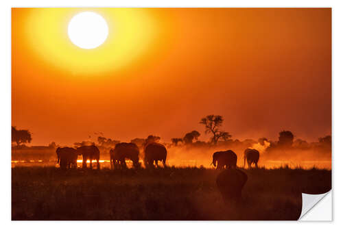 Wandsticker Elefanten bei Sonnenuntergang, Chobe Park, Botswana, Afrika