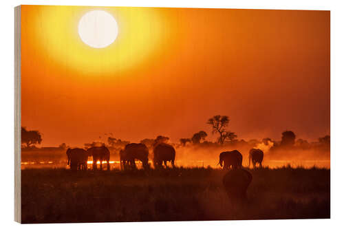 Holzbild Elefanten bei Sonnenuntergang, Chobe Park, Botswana, Afrika