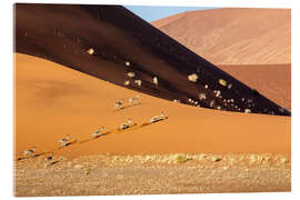 Acrylglasbild Gazelle, Sossusvlei, Namib Wüste, Afrika - Roberto Sysa Moiola
