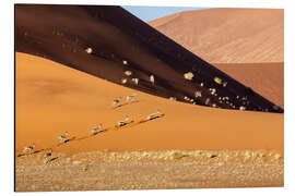 Alubild Gazelle, Sossusvlei, Namib Wüste, Afrika - Roberto Sysa Moiola