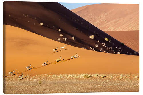 Lerretsbilde Gazelle, Sossusvlei,Namib Desert,Africa