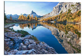 Cuadro de aluminio Lake Federa in autumn, Dolomites, Veneto, Italy