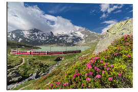 Aluminium print Bernina Express train, Engadine, Switzerland