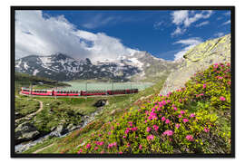 Gerahmter Kunstdruck Bernina Express Zug, Engadin, Schweiz