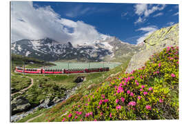 Gallery print Bernina Express train, Engadine, Switzerland