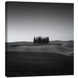 Canvas print Zypressen - Fotoatelier Berlin