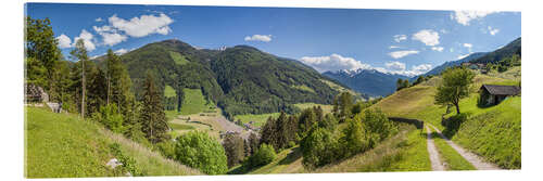 Akrylbillede Hiking trail in the Valle Aurina (South Tyrol)