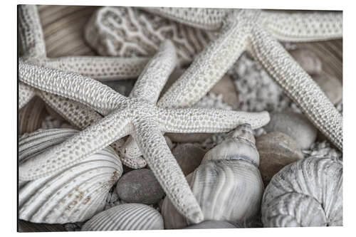 Obraz na aluminium Beach treasures